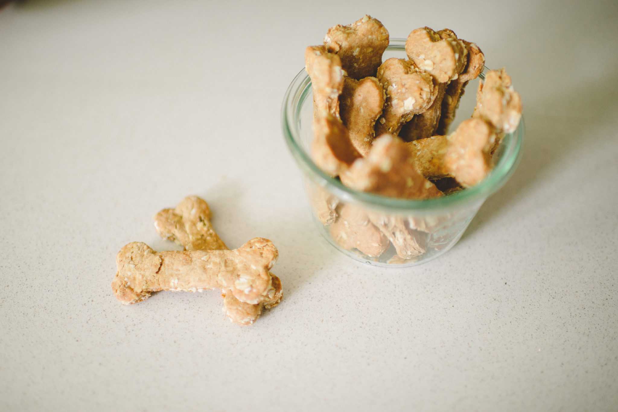 Good Dog by Tiffani Thiessen • Photos by Rebecca Sanabria