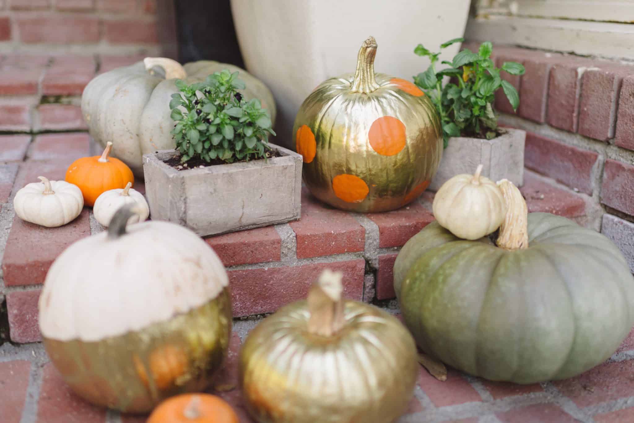 Pumpkin Perfection by Tiffani Thiessen • Photos by Rebecca Sanabria