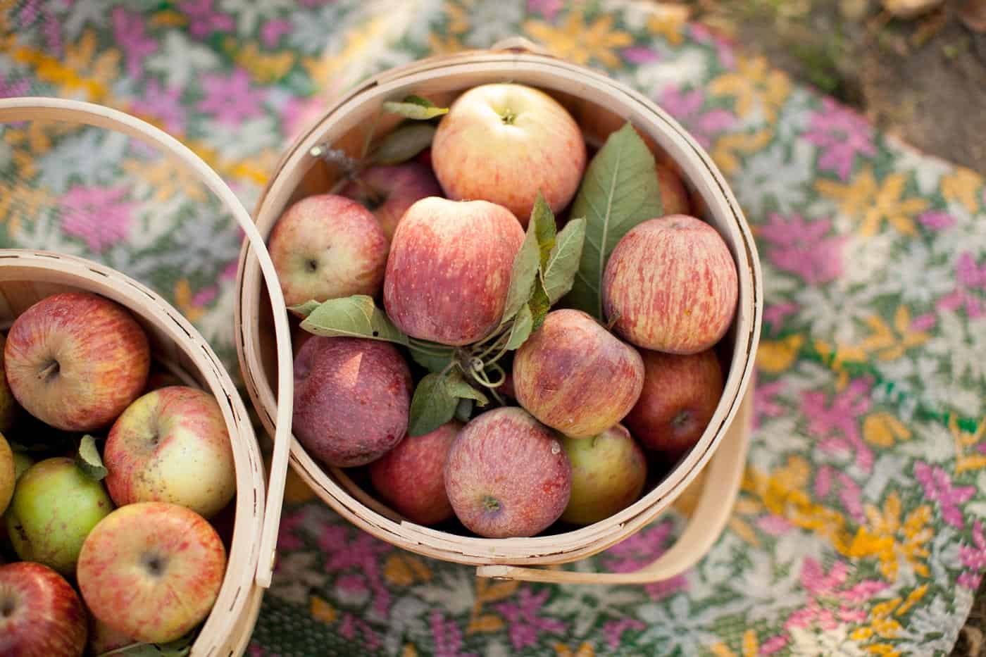 Apple of my Eye with Tiffani Thiessen • Photo by Morgan Pansing